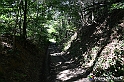 VBS_4658 - Il bosco fatato - Montaldo Roero